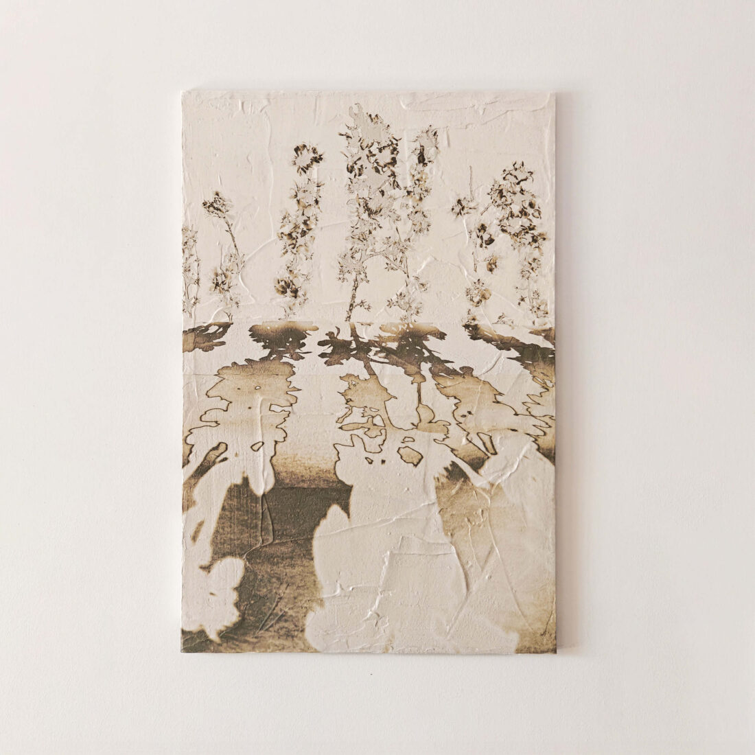 main view of 'Almond Tree III - Reflected Shadows' artwork from COBELIO