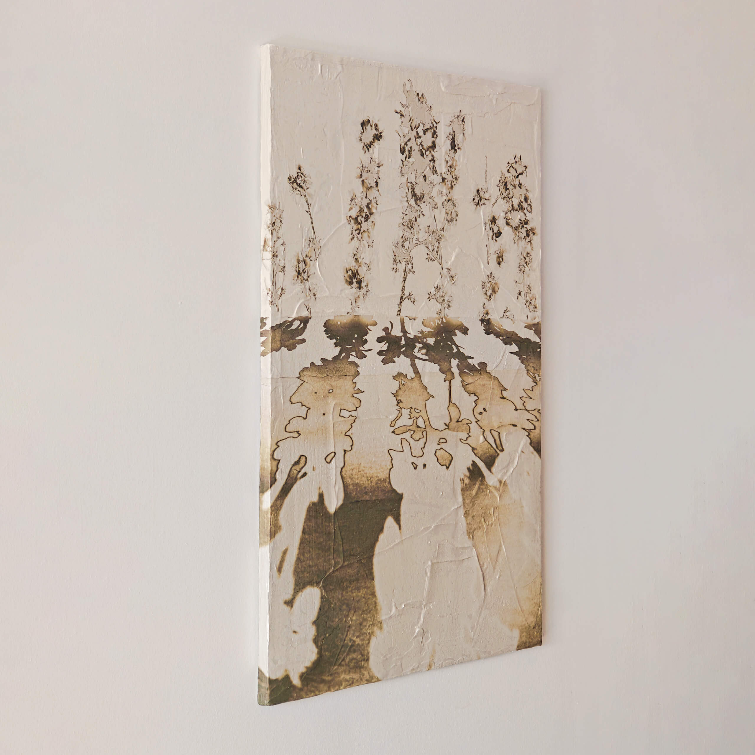 view of 'Almond Tree III - Reflected Shadows' artwork from COBELIO