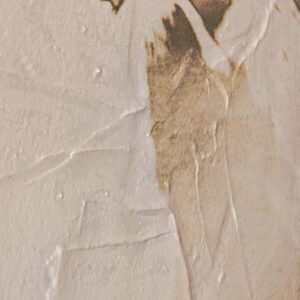view of 'Almond Tree III - Reflected Shadows' artwork from COBELIO