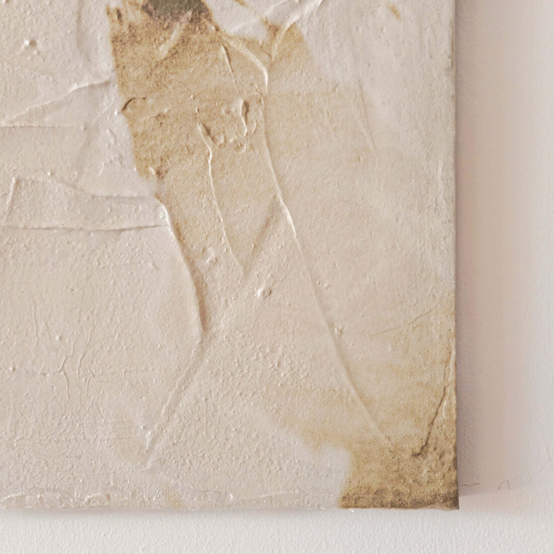 view of 'Almond Tree III - Reflected Shadows' artwork from COBELIO