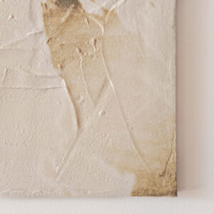 view of 'Almond Tree III - Reflected Shadows' artwork from COBELIO