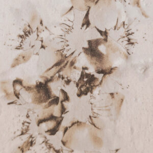 view of 'Almond Tree III - Reflected Shadows' artwork from COBELIO