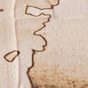view of 'Almond Tree III - Reflected Shadows' artwork from COBELIO