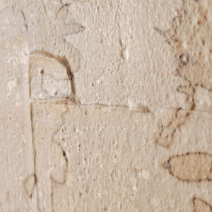 view of 'Almond Tree III - Reflected Shadows' artwork from COBELIO