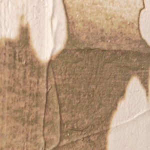 view of 'Almond Tree III - Reflected Shadows' artwork from COBELIO