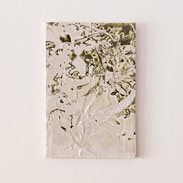 OLIVE TREE II. Volcanic Crystal
