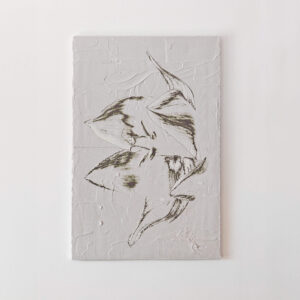 main view of 'Yucca II - The right direction' artwork from COBELIO