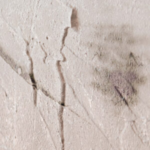 view of 'Yucca II - The Right Direction' artwork from COBELIO