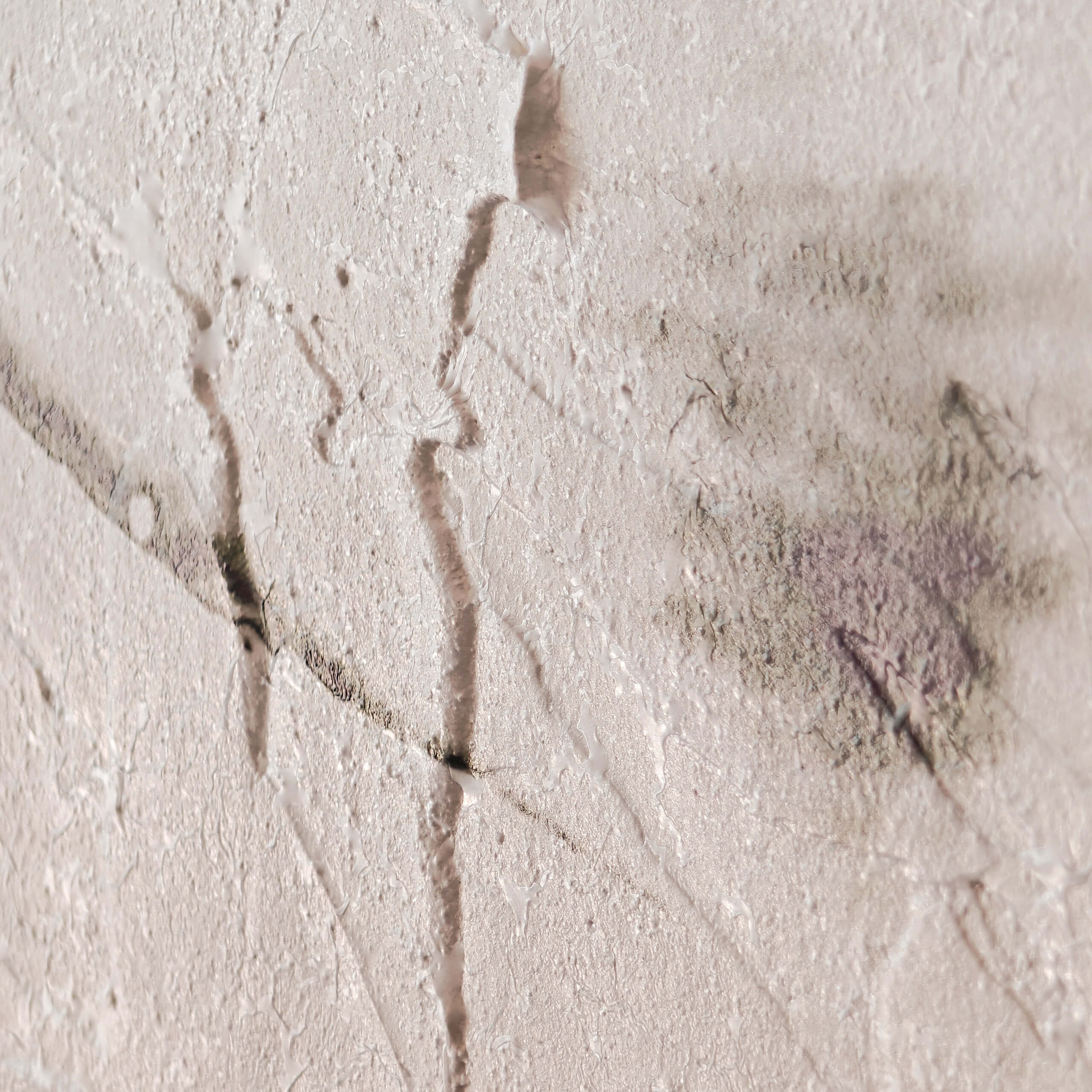 view of 'Yucca II - The Right Direction' artwork from COBELIO