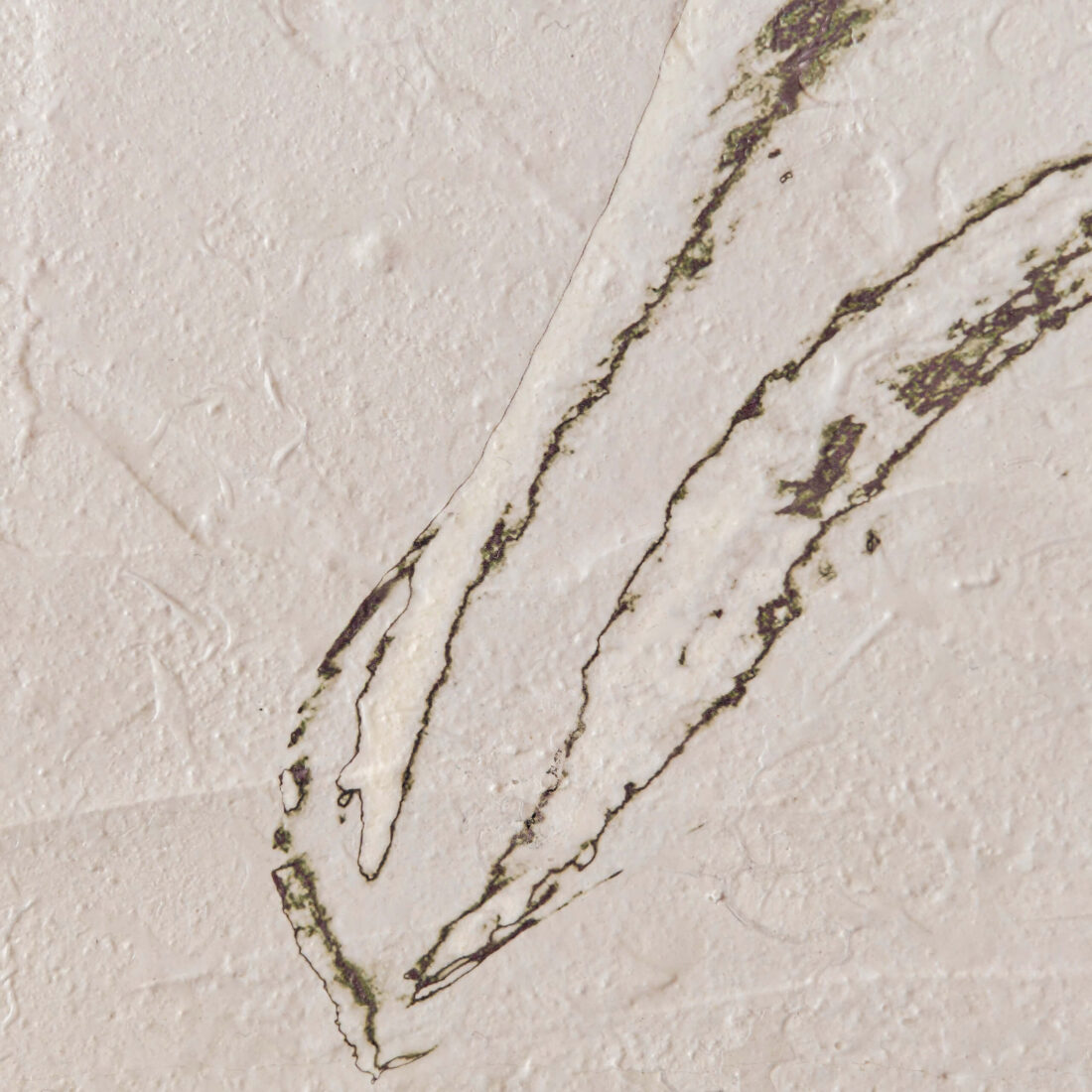 view of 'Yucca II - The Right Direction' artwork from COBELIO