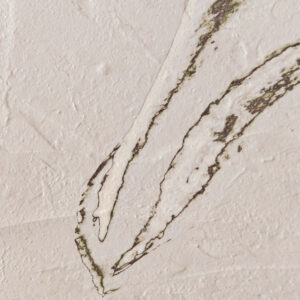 view of 'Yucca II - The Right Direction' artwork from COBELIO