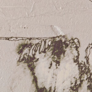 view of 'Yucca II - The Right Direction' artwork from COBELIO