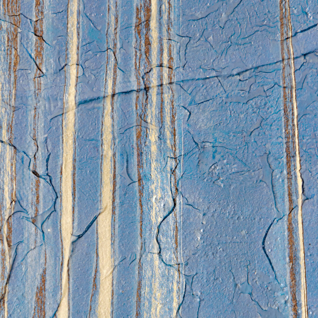 view of 'Yucca III - Stretching is Important' artwork from COBELIO