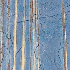 view of 'Yucca III - Stretching is Important' artwork from COBELIO