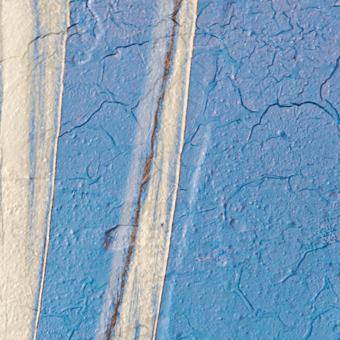 view of 'Yucca III - Stretching is Important' artwork from COBELIO