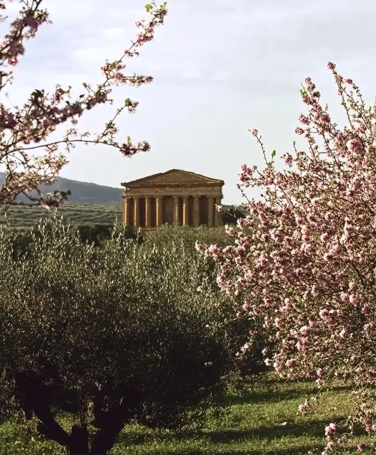 Agrigento almond blossom fest