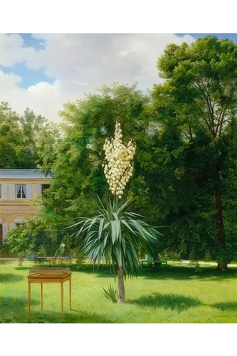 Yucca-Palme im Park von Neuilly - Antoine Chazal (1845)