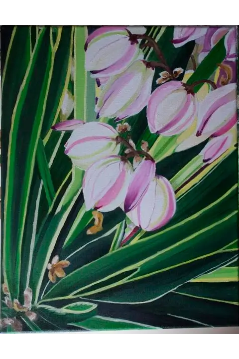 Yucca Gloriosa Variegata - Carol Ann McDermott (2022)