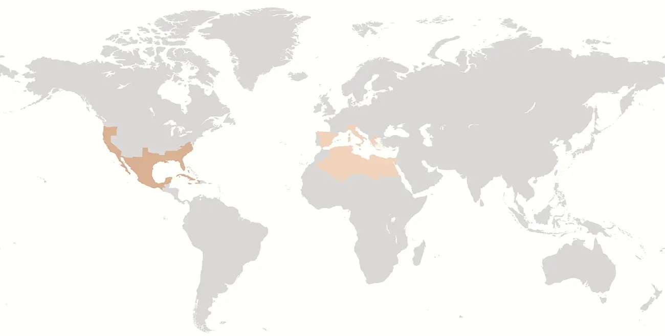 map of Yucca Gloriosa key growing top regions