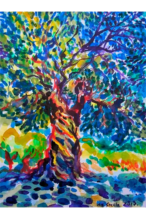 'Magnificent olive tree #2' - Maja Grecic (2017)