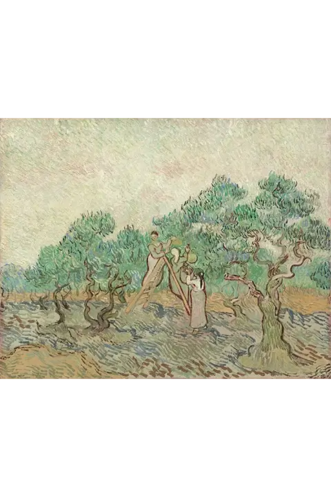 The Olive Orchard - Vincent Van Gogh (1889)