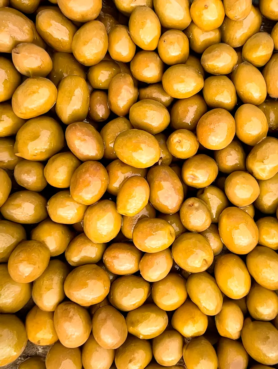 olive variety manzanilla