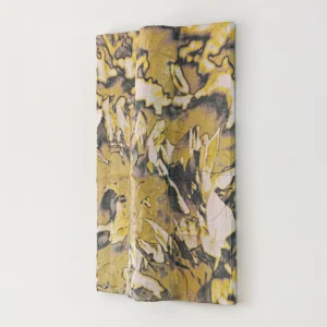 Kanzan I Contemporary Artwork COBELIO