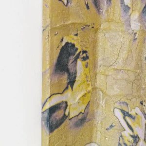 Kanzan I. Contemporary Artwork COBELIO