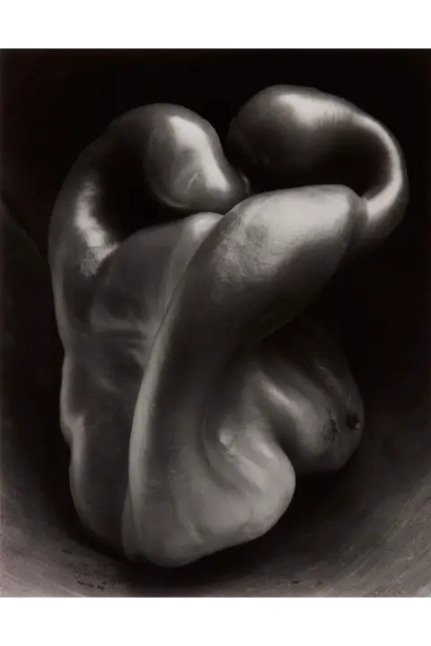 “Pepper No. 30” - Edward Weston (1930)