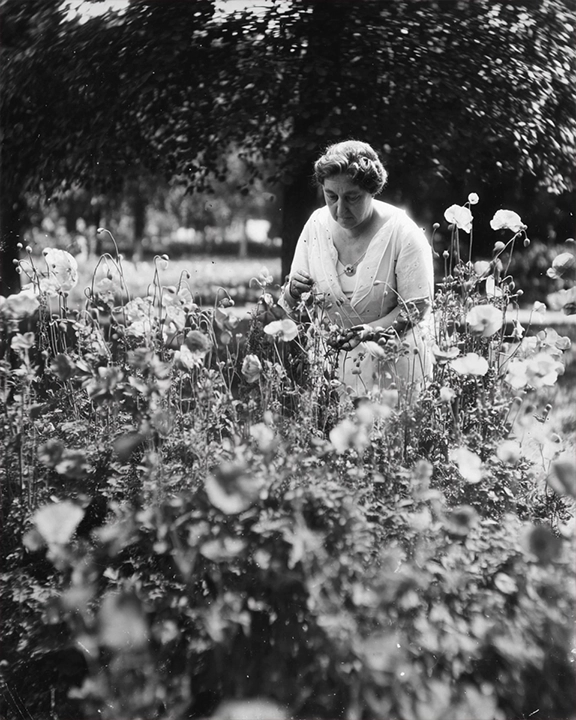 Moina Michael: The “Poppy Lady”