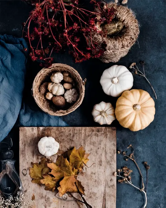 cobelio pumpkin moodboard