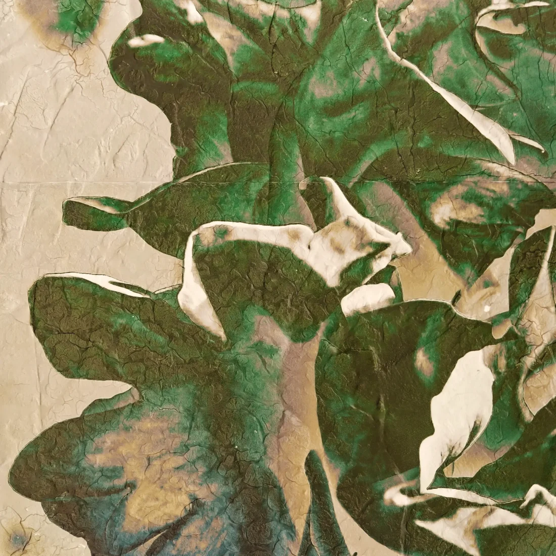 Rose XII. Contemporary Abstract Artwork COBELIO