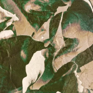 Rose XII. Contemporary Abstract Artwork COBELIO