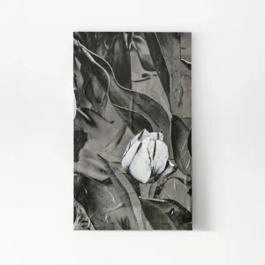 Tulip VI. Contemporary Abstract Artwork COBELIO