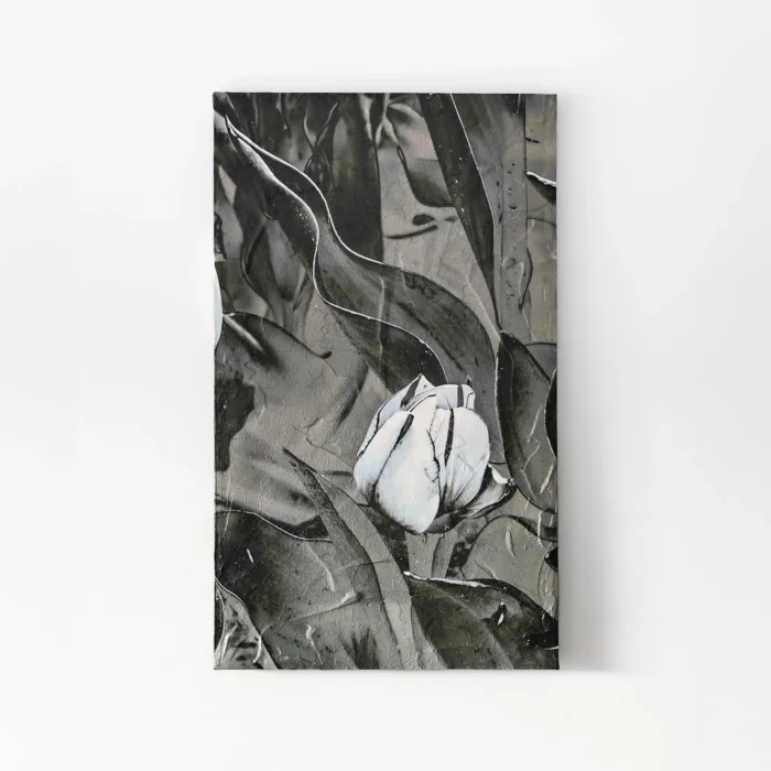 TULIP VI. Nightwatch