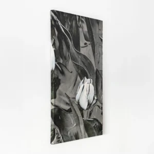 Tulip VI. Contemporary Abstract Artwork COBELIO