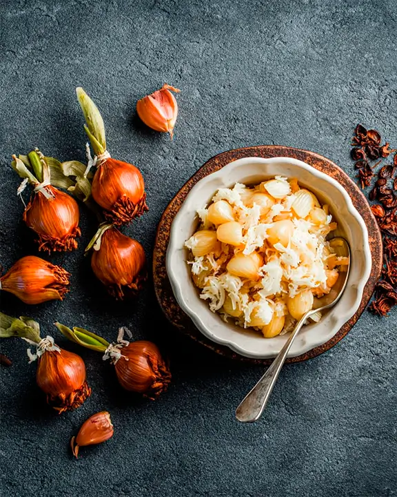 fermented tulip bulbs meal