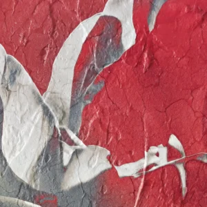Rose XV. Contemporary Abstract Artwork COBELIO