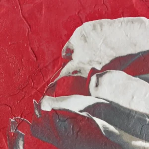 Rose XV. Contemporary Abstract Artwork COBELIO