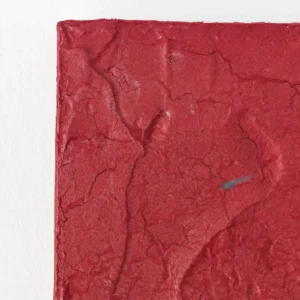 Rose XV. Contemporary Abstract Artwork COBELIO