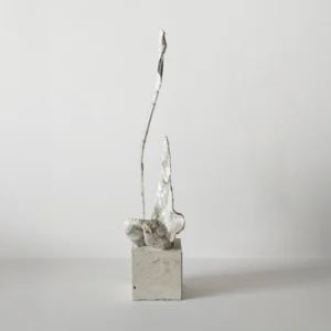Tulip II Contemporary Artwork COBELIO