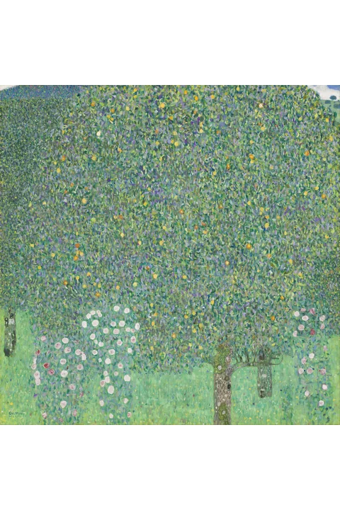 Rosebushes under the Trees by Gustav Klimt, around 1905, Musée d'Orsay