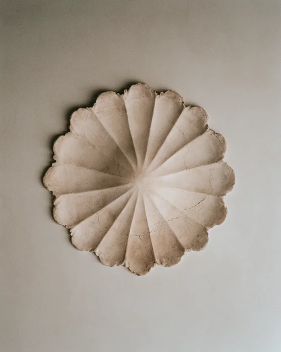 White plaster ceiling rose with layered petals radiating from the centre, lit from the side