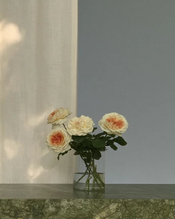 Glass vase of pale garden roses on a marble console beside a linen curtain moving in the light