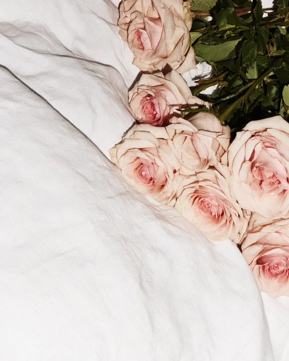 Loose blush roses lying on a rumpled linen bedspread in morning light