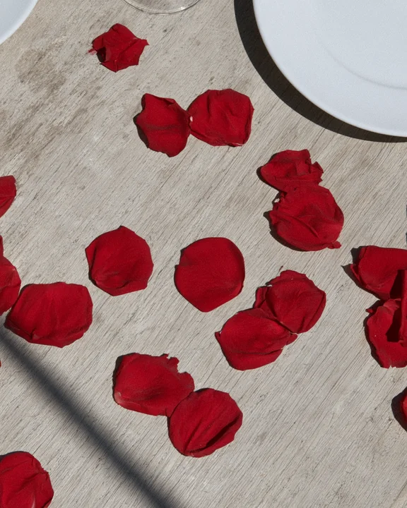 Rose petals scattered on a pale oak dining table set for two, sunlight falling in stripes