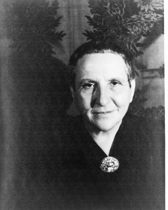 Photographic portrait of the writer Gertrude Stein