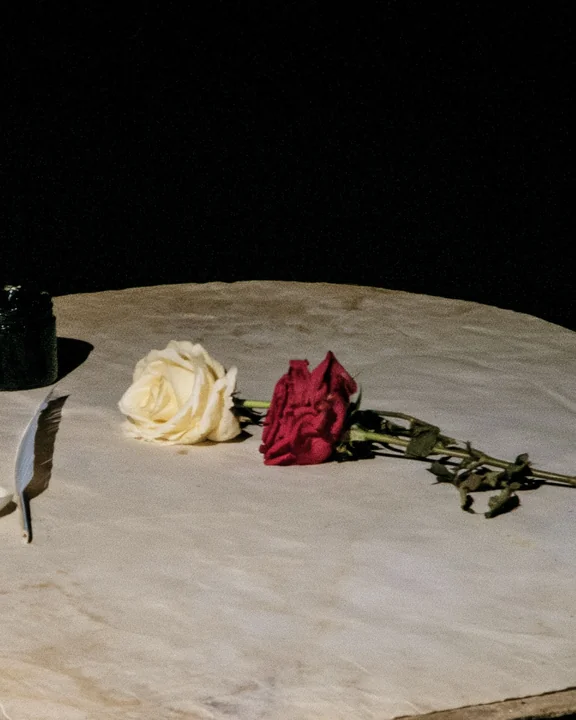 A white rose and a red rose lying side by side on aged parchment with a quill and ink pot in candlelight